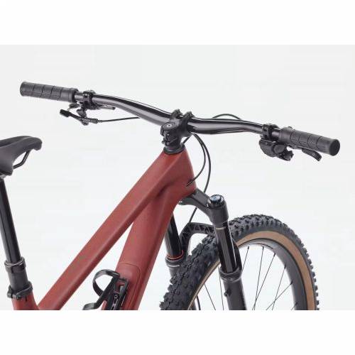 BICIKL TREK MTB TOP FUEL 9.8 L MATTE SEDONA RED/ PENNYFLAKE / 2026 Cijena
