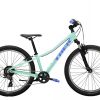 BICIKL TREK ZA MLADE PRECALIBER 24 8S SUS 24 ALOHA GREEN / 2026