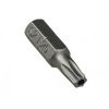 ALAT TREK T25 SECURITY BIT, GREY T25